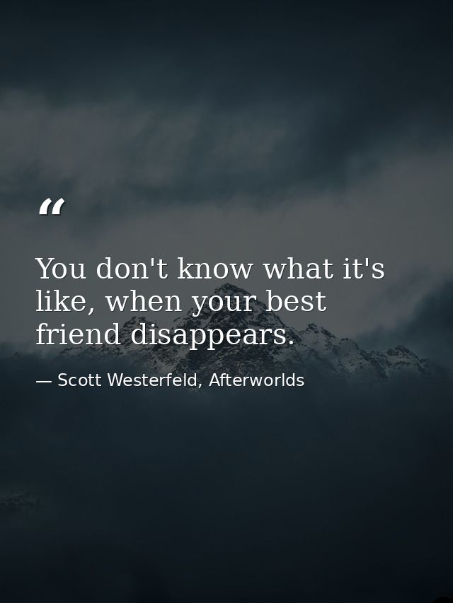 You don't know what it's like, when your best friend disappears. — Scott Westerfeld, Afterworlds