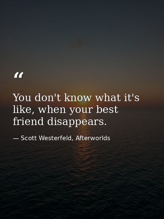 You don't know what it's like, when your best friend disappears. — Scott Westerfeld, Afterworlds