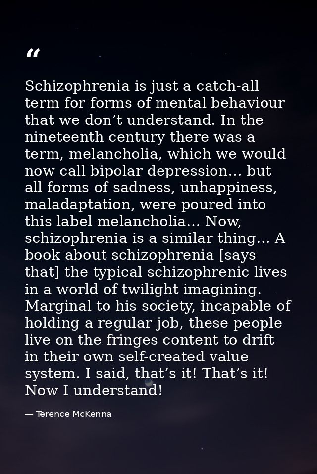 Schizophrenia is just a catch-all term for forms of mental behaviour that we don’t understand. In the nineteenth century — Terence McKenna