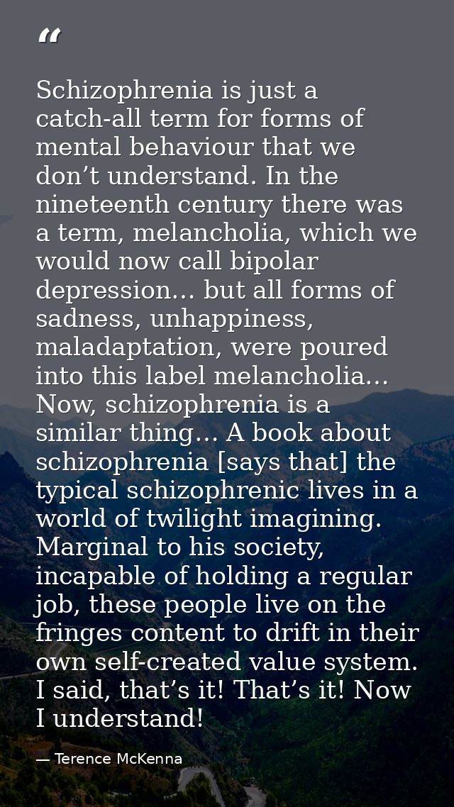Schizophrenia is just a catch-all term for forms of mental behaviour that we don’t understand. In the nineteenth century — Terence McKenna