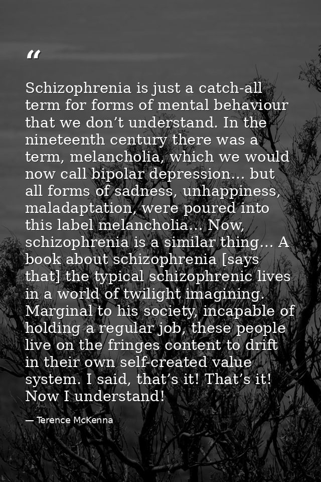 Schizophrenia is just a catch-all term for forms of mental behaviour that we don’t understand. In the nineteenth century — Terence McKenna