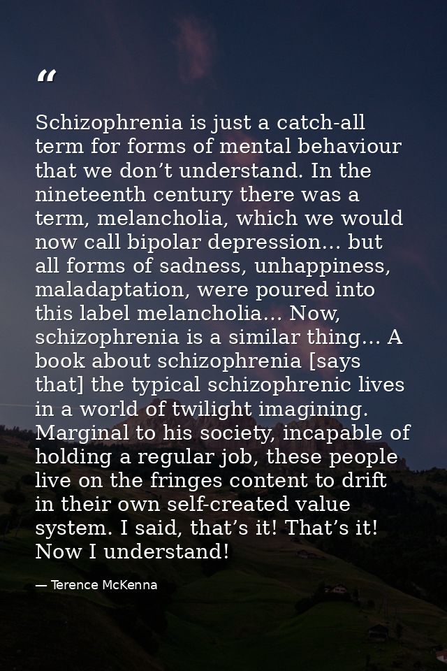 Schizophrenia is just a catch-all term for forms of mental behaviour that we don’t understand. In the nineteenth century — Terence McKenna