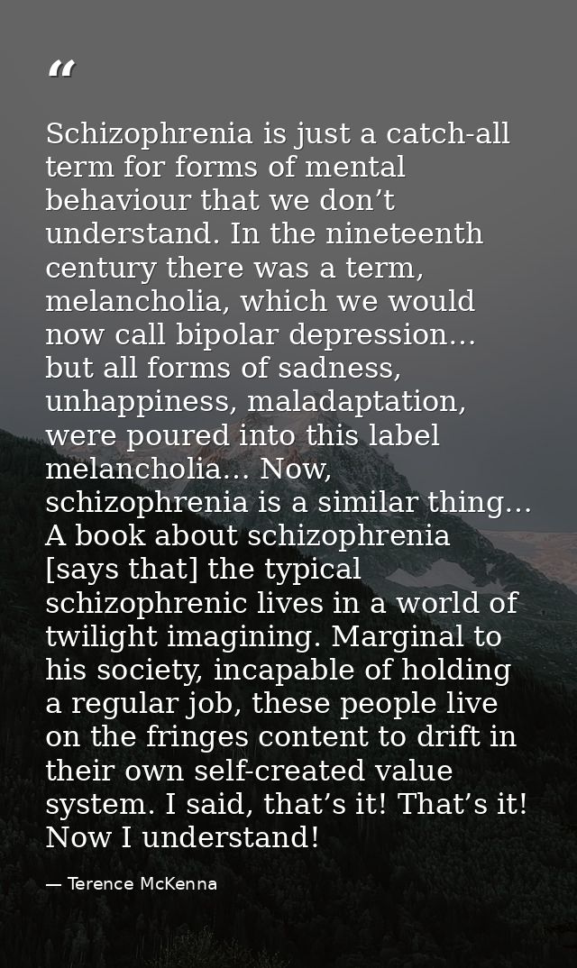 Schizophrenia is just a catch-all term for forms of mental behaviour that we don’t understand. In the nineteenth century — Terence McKenna