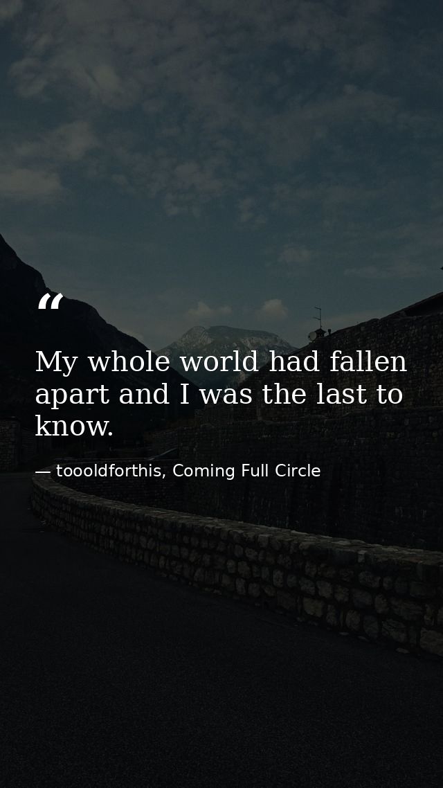 My whole world had fallen apart and I was the last to know. — toooldforthis, Coming Full Circle