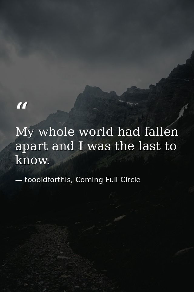 My whole world had fallen apart and I was the last to know. — toooldforthis, Coming Full Circle