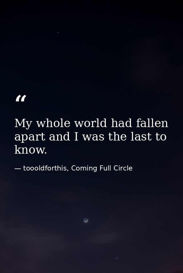 My whole world had fallen apart and I was the last to know. — toooldforthis, Coming Full Circle