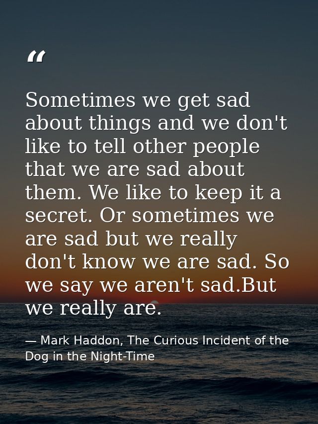 Sometimes we get sad about things and we don't like to tell other people that we are sad about them. We like to keep it  — Mark Haddon, The Curious Incident of the Dog in the Night-Time