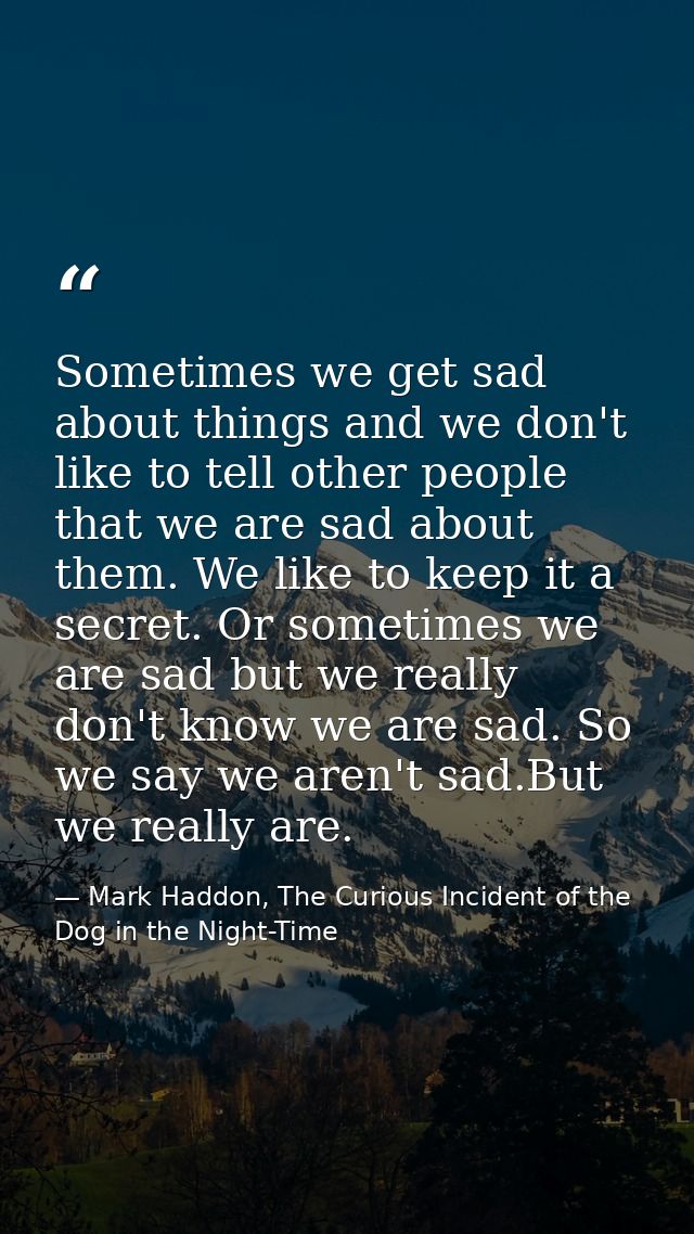 Sometimes we get sad about things and we don't like to tell other people that we are sad about them. We like to keep it  — Mark Haddon, The Curious Incident of the Dog in the Night-Time