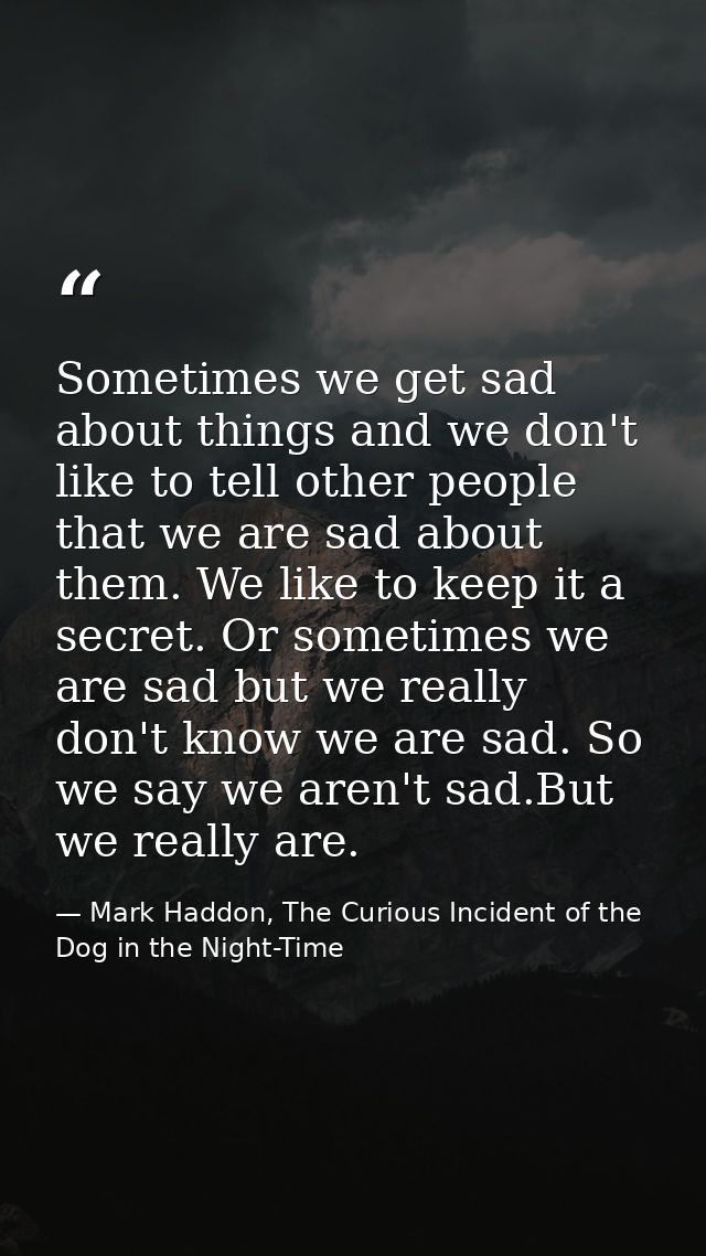Sometimes we get sad about things and we don't like to tell other people that we are sad about them. We like to keep it  — Mark Haddon, The Curious Incident of the Dog in the Night-Time