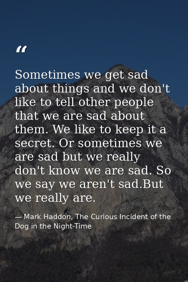 Sometimes we get sad about things and we don't like to tell other people that we are sad about them. We like to keep it  — Mark Haddon, The Curious Incident of the Dog in the Night-Time