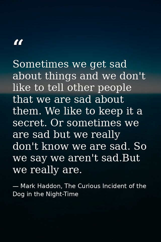 Sometimes we get sad about things and we don't like to tell other people that we are sad about them. We like to keep it  — Mark Haddon, The Curious Incident of the Dog in the Night-Time