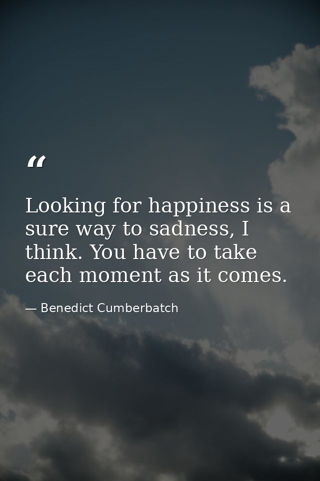 Looking for happiness is a sure way to sadness, I think. You have to take each moment as it comes. — Benedict Cumberbatch