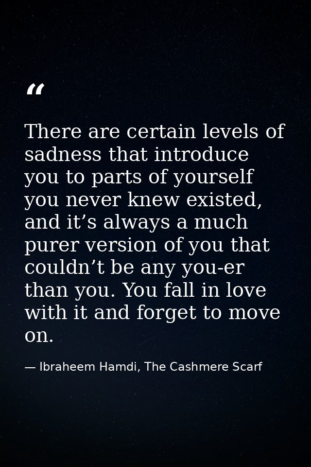 There are certain levels of sadness that introduce you to parts of yourself you never knew existed, and it’s always a mu — Ibraheem Hamdi, The Cashmere Scarf