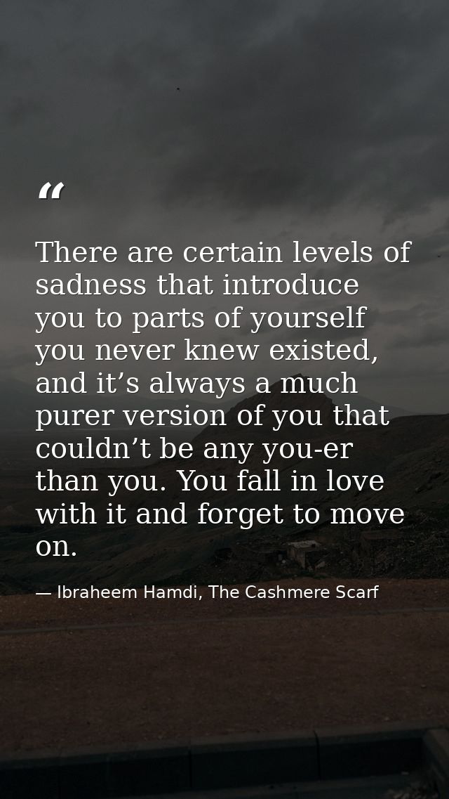 There are certain levels of sadness that introduce you to parts of yourself you never knew existed, and it’s always a mu — Ibraheem Hamdi, The Cashmere Scarf