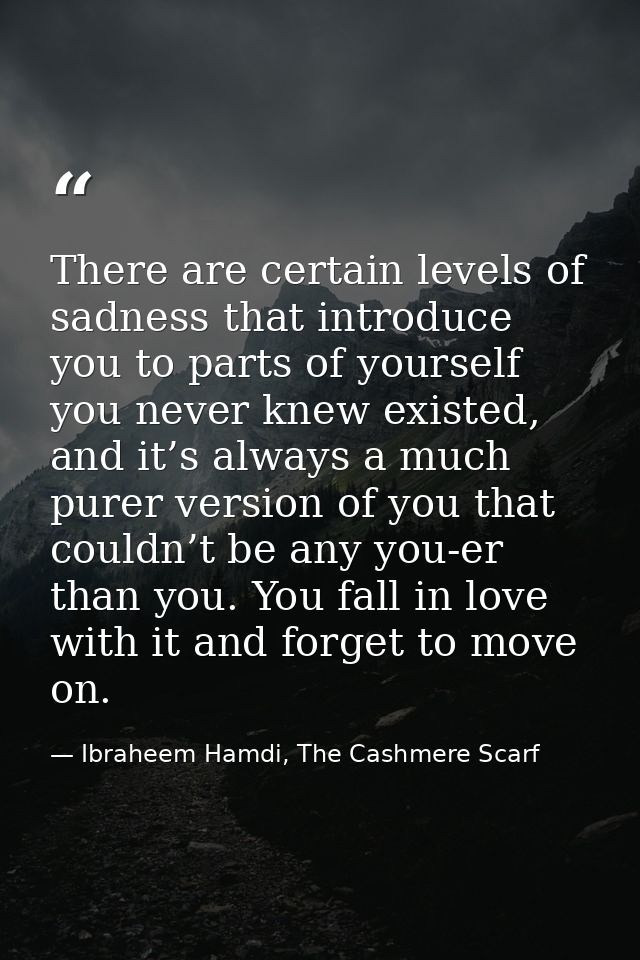 There are certain levels of sadness that introduce you to parts of yourself you never knew existed, and it’s always a mu — Ibraheem Hamdi, The Cashmere Scarf
