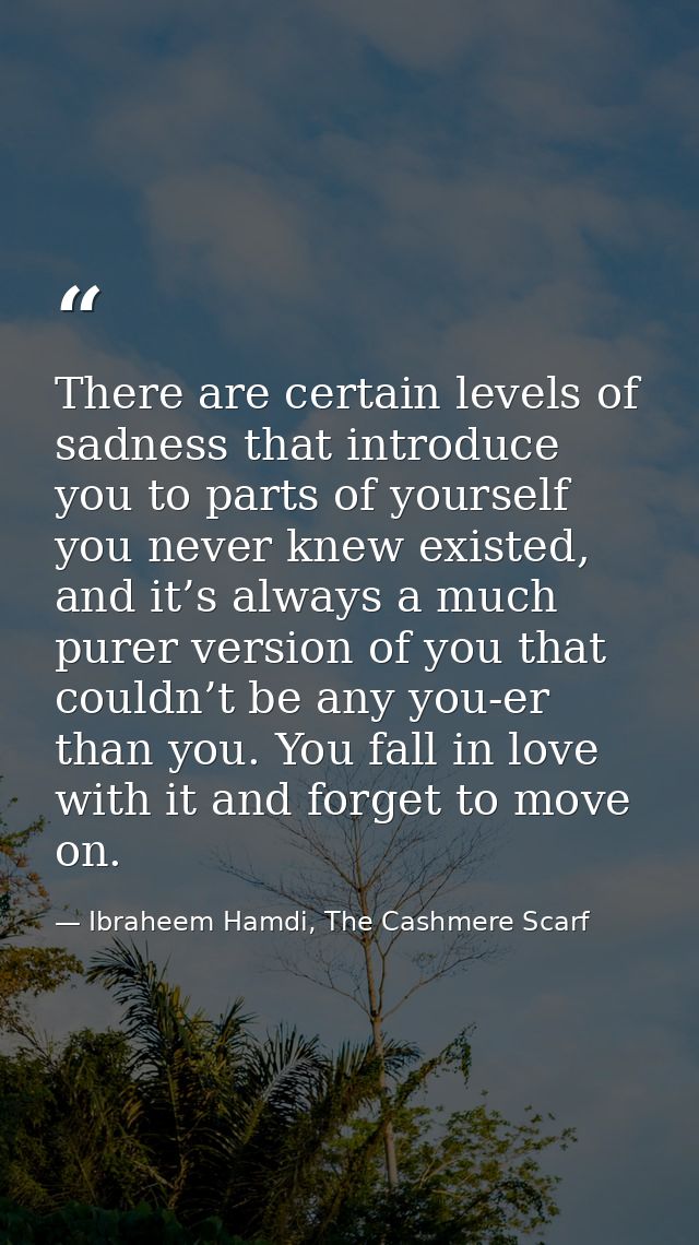 There are certain levels of sadness that introduce you to parts of yourself you never knew existed, and it’s always a mu — Ibraheem Hamdi, The Cashmere Scarf