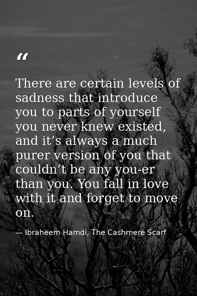 There are certain levels of sadness that introduce you to parts of yourself you never knew existed, and it’s always a mu — Ibraheem Hamdi, The Cashmere Scarf