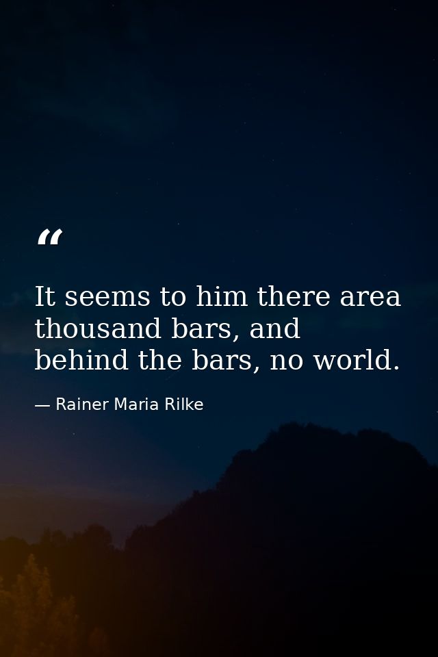 It seems to him there area thousand bars, and behind the bars, no world. — Rainer Maria Rilke