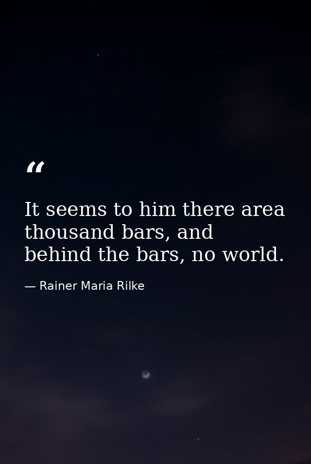 It seems to him there area thousand bars, and behind the bars, no world. — Rainer Maria Rilke
