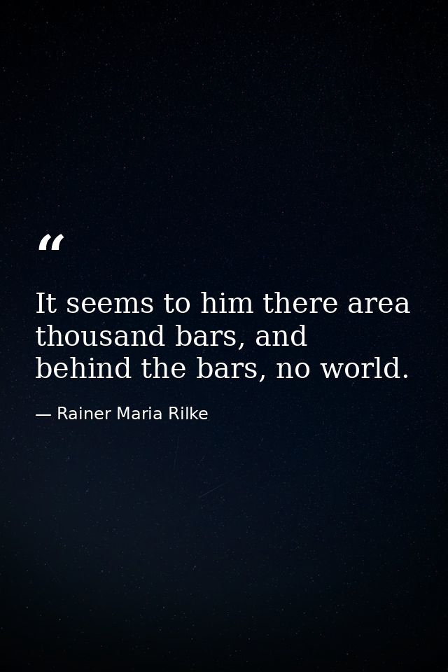 It seems to him there area thousand bars, and behind the bars, no world. — Rainer Maria Rilke