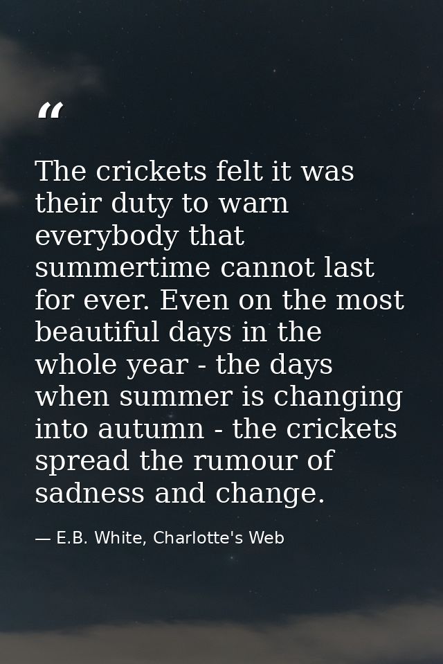 The crickets felt it was their duty to warn everybody that summertime cannot last for ever. Even on the most beautiful d — E.B. White, Charlotte's Web