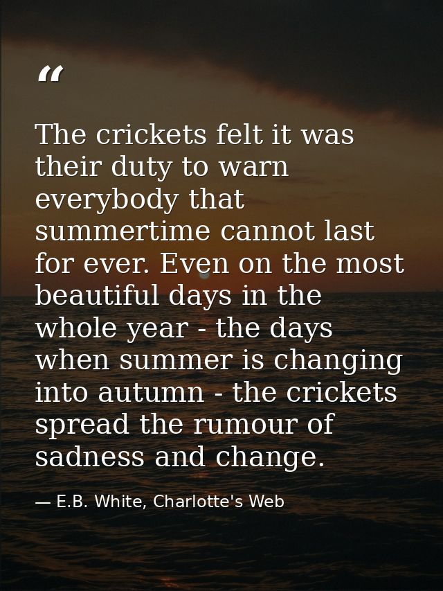 The crickets felt it was their duty to warn everybody that summertime cannot last for ever. Even on the most beautiful d — E.B. White, Charlotte's Web