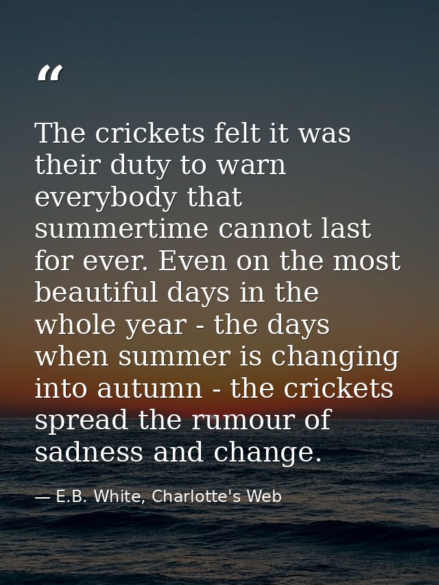 The crickets felt it was their duty to warn everybody that summertime cannot last for ever. Even on the most beautiful d — E.B. White, Charlotte's Web