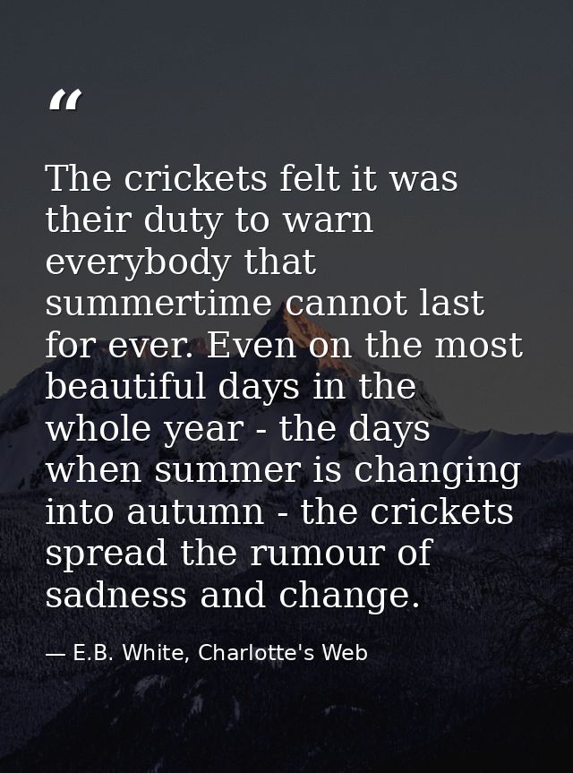 The crickets felt it was their duty to warn everybody that summertime cannot last for ever. Even on the most beautiful d — E.B. White, Charlotte's Web