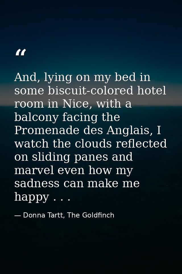 And, lying on my bed in some biscuit-colored hotel room in Nice, with a balcony facing the Promenade des Anglais, I watc — Donna Tartt, The Goldfinch