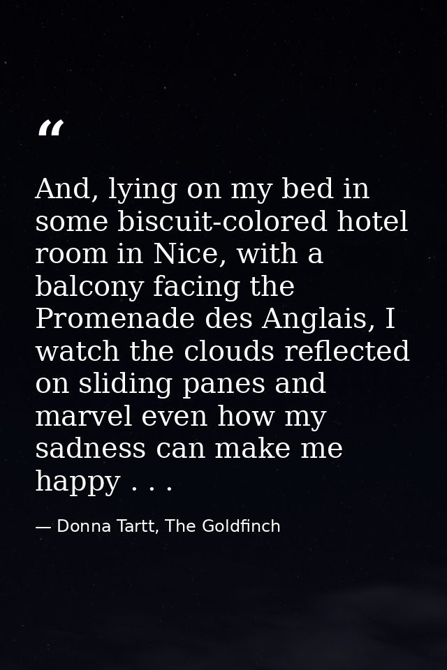 And, lying on my bed in some biscuit-colored hotel room in Nice, with a balcony facing the Promenade des Anglais, I watc — Donna Tartt, The Goldfinch