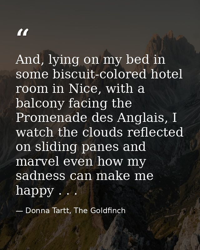 And, lying on my bed in some biscuit-colored hotel room in Nice, with a balcony facing the Promenade des Anglais, I watc — Donna Tartt, The Goldfinch