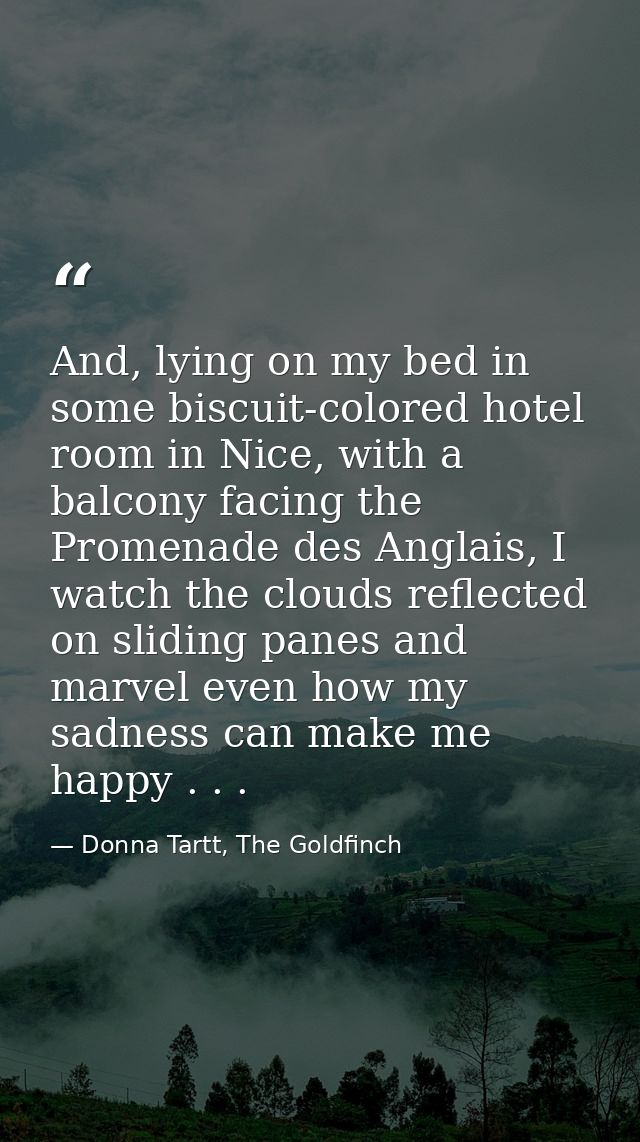 And, lying on my bed in some biscuit-colored hotel room in Nice, with a balcony facing the Promenade des Anglais, I watc — Donna Tartt, The Goldfinch