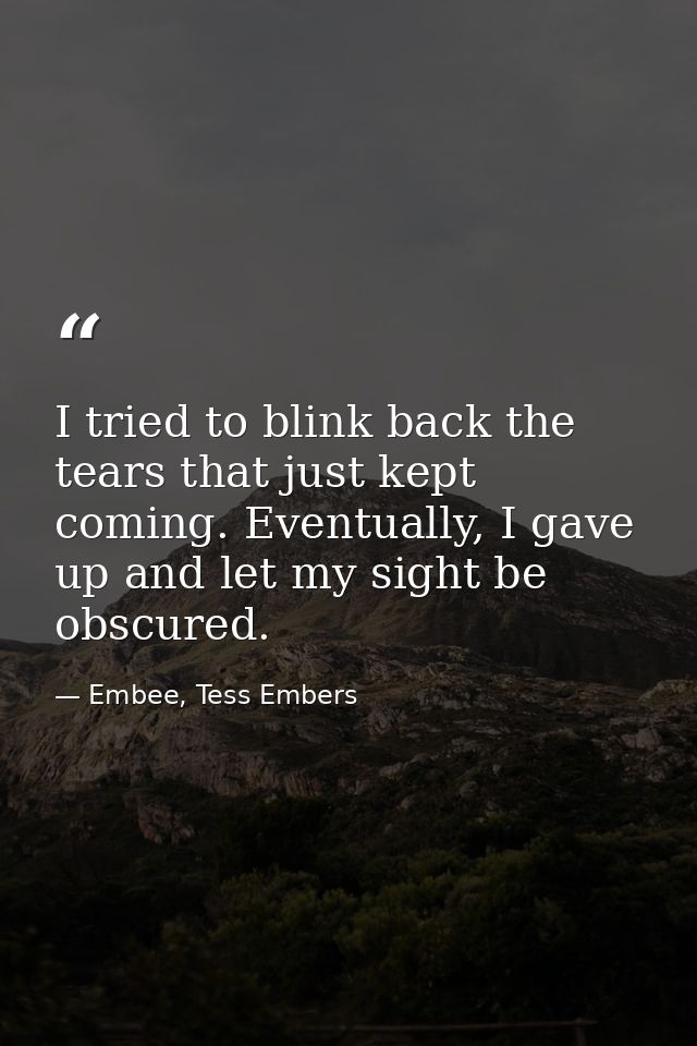 I tried to blink back the tears that just kept coming. Eventually, I gave up and let my sight be obscured. — Embee, Tess Embers