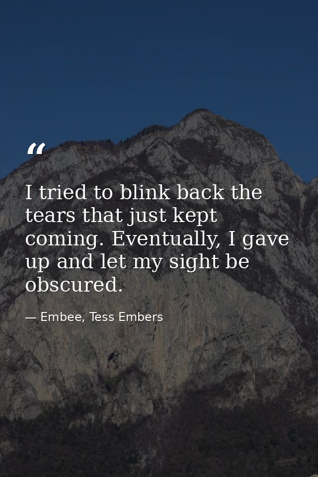 I tried to blink back the tears that just kept coming. Eventually, I gave up and let my sight be obscured. — Embee, Tess Embers
