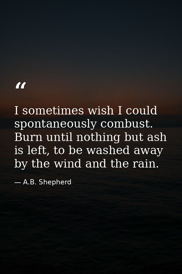I sometimes wish I could spontaneously combust. Burn until nothing but ash is left, to be washed away by the wind and th — A.B. Shepherd
