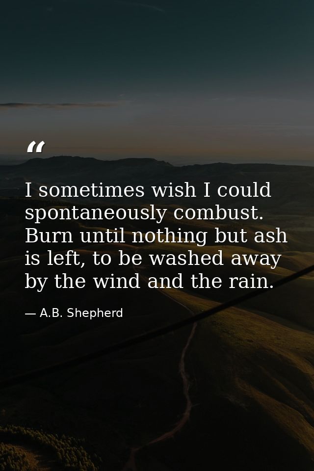 I sometimes wish I could spontaneously combust. Burn until nothing but ash is left, to be washed away by the wind and th — A.B. Shepherd