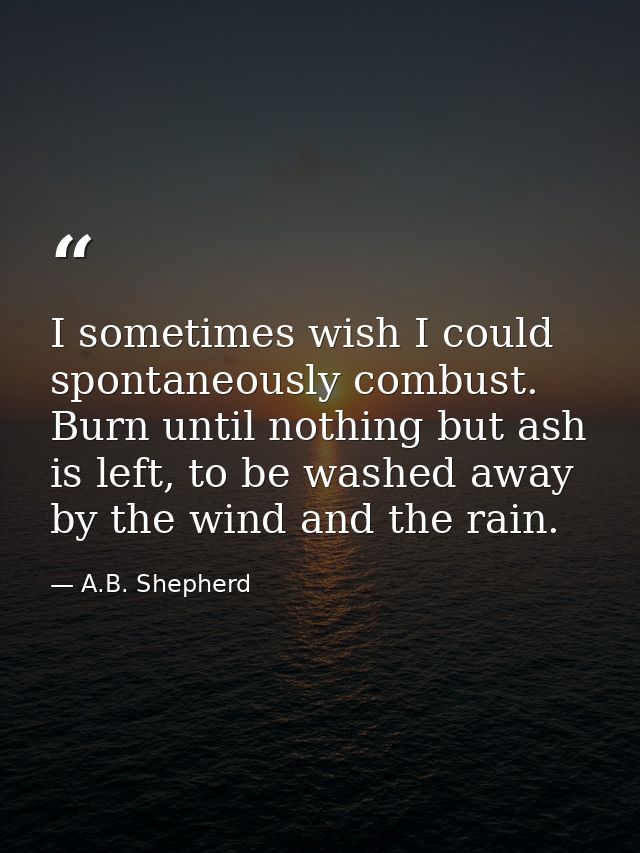 I sometimes wish I could spontaneously combust. Burn until nothing but ash is left, to be washed away by the wind and th — A.B. Shepherd
