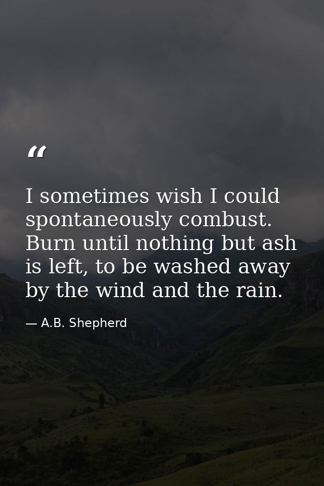 I sometimes wish I could spontaneously combust. Burn until nothing but ash is left, to be washed away by the wind and th — A.B. Shepherd