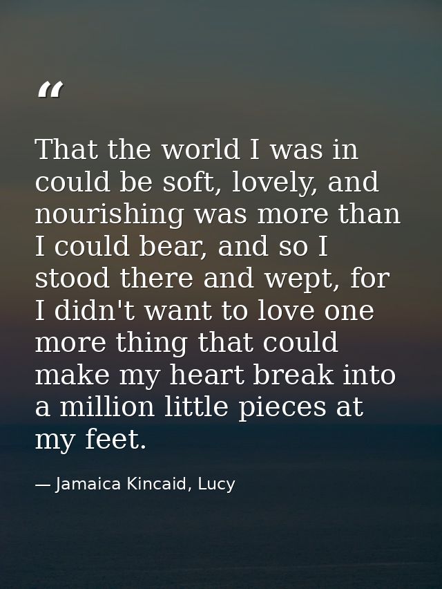 That the world I was in could be soft, lovely, and nourishing was more than I could bear, and so I stood there and wept, — Jamaica Kincaid, Lucy