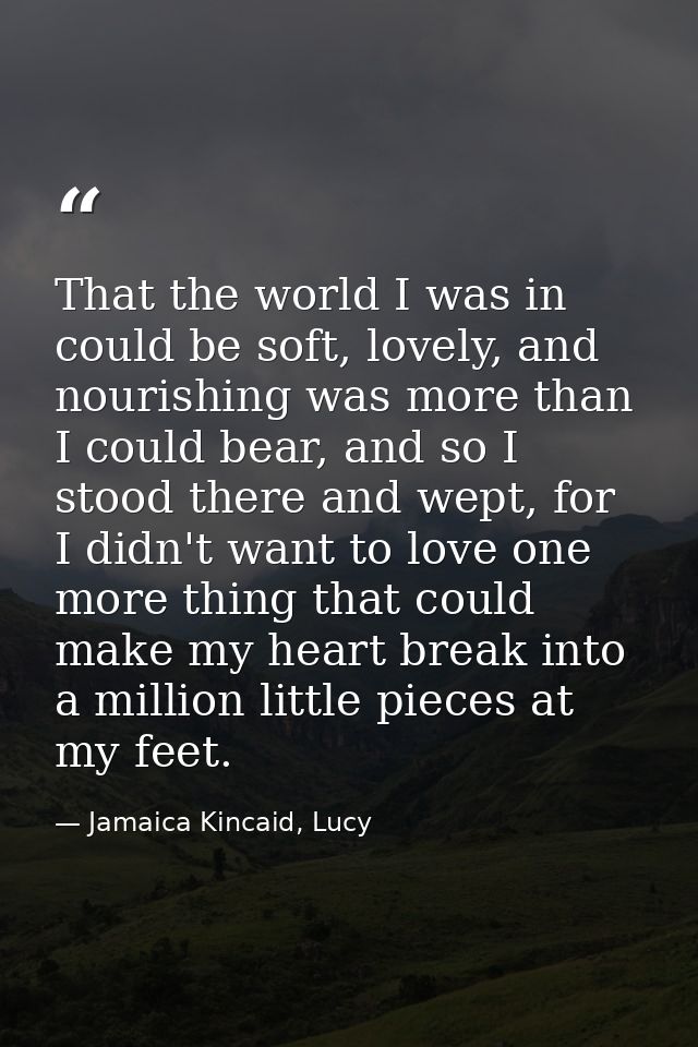 That the world I was in could be soft, lovely, and nourishing was more than I could bear, and so I stood there and wept, — Jamaica Kincaid, Lucy