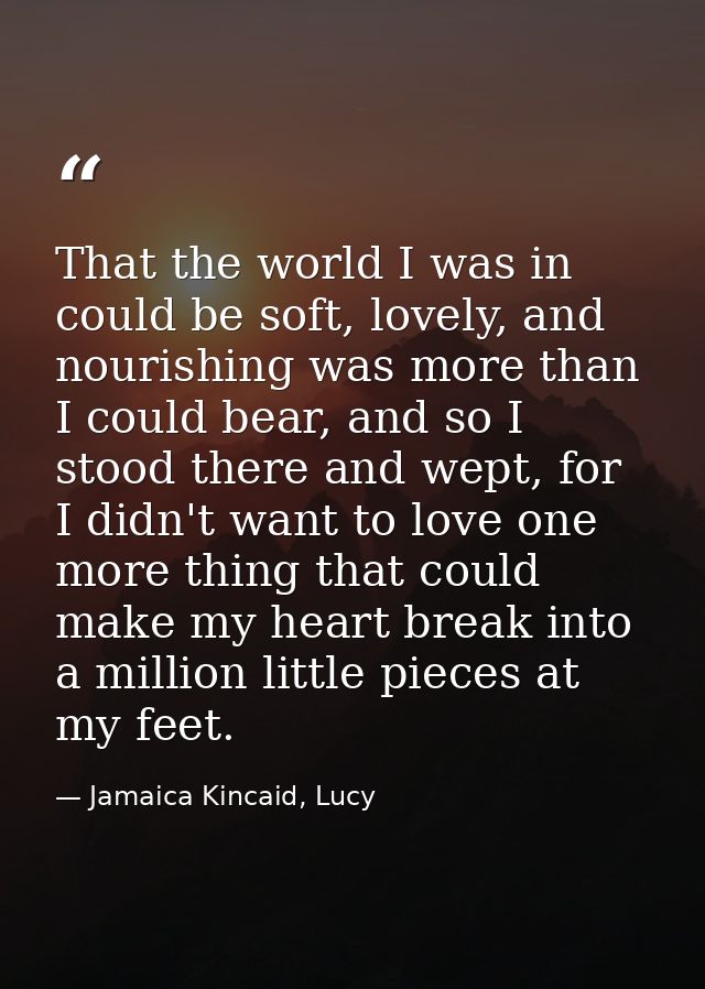 That the world I was in could be soft, lovely, and nourishing was more than I could bear, and so I stood there and wept, — Jamaica Kincaid, Lucy