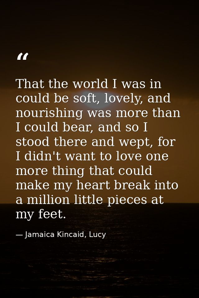 That the world I was in could be soft, lovely, and nourishing was more than I could bear, and so I stood there and wept, — Jamaica Kincaid, Lucy
