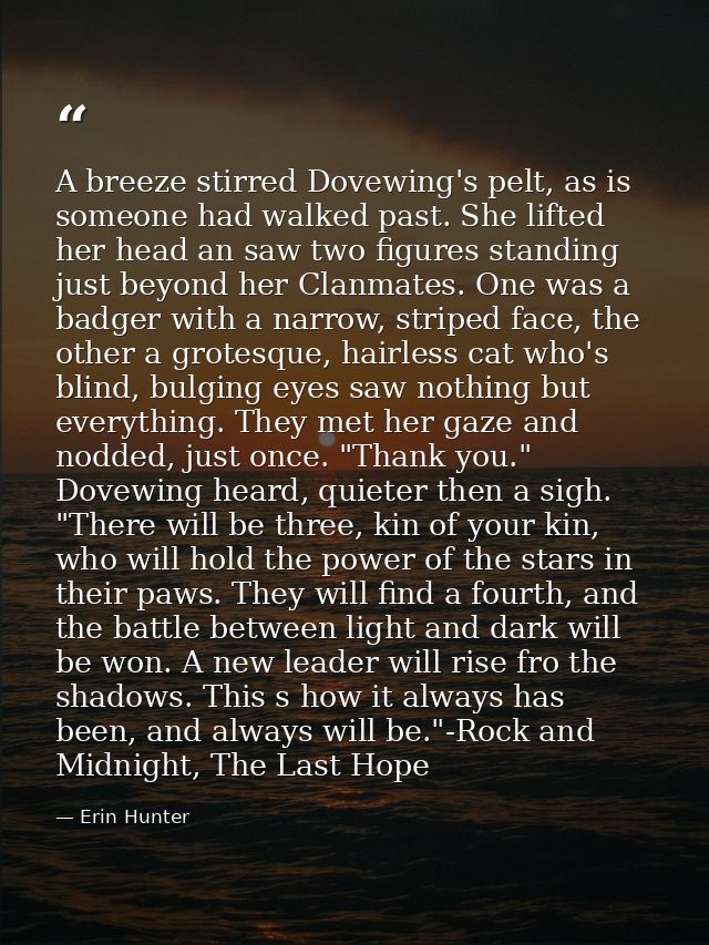 A breeze stirred Dovewing's pelt, as is someone had walked past. She lifted her head an saw two figures standing just be — Erin Hunter