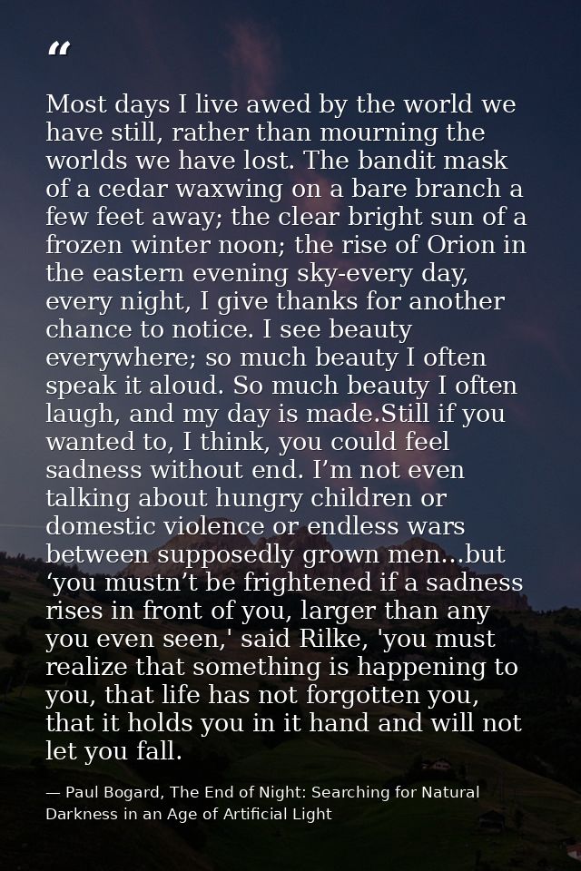 Most days I live awed by the world we have still, rather than mourning the worlds we have lost. The bandit mask of a ced — Paul Bogard, The End of Night: Searching for Natural Darkness in an Age of Artificial Light