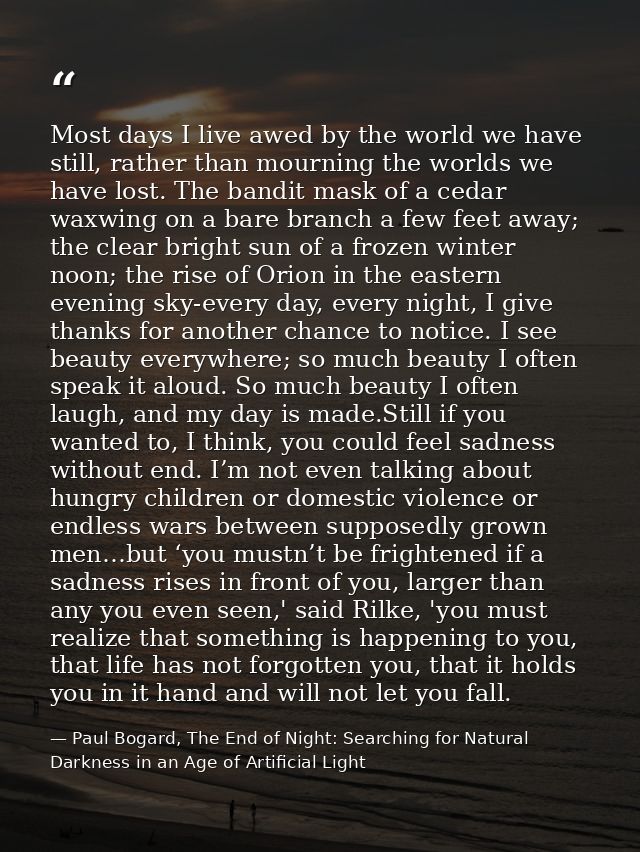 Most days I live awed by the world we have still, rather than mourning the worlds we have lost. The bandit mask of a ced — Paul Bogard, The End of Night: Searching for Natural Darkness in an Age of Artificial Light