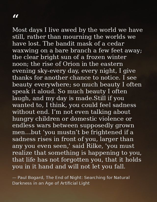 Most days I live awed by the world we have still, rather than mourning the worlds we have lost. The bandit mask of a ced — Paul Bogard, The End of Night: Searching for Natural Darkness in an Age of Artificial Light