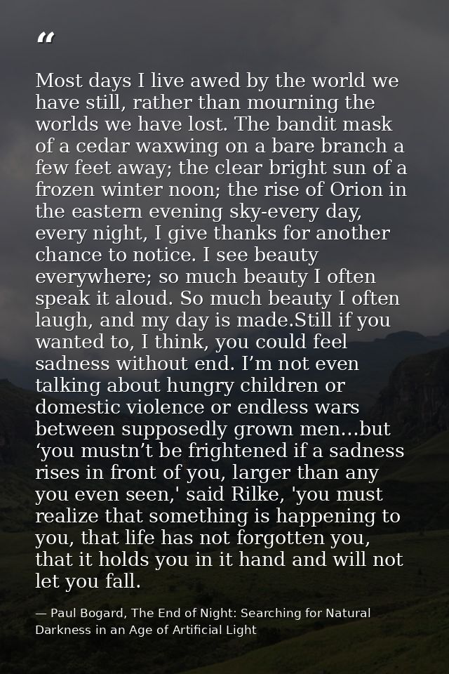 Most days I live awed by the world we have still, rather than mourning the worlds we have lost. The bandit mask of a ced — Paul Bogard, The End of Night: Searching for Natural Darkness in an Age of Artificial Light