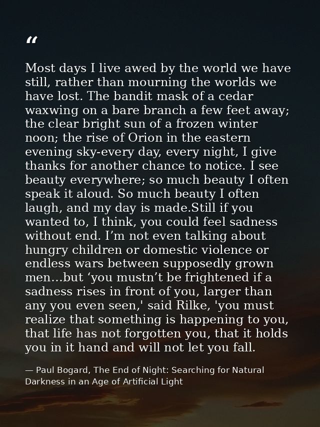 Most days I live awed by the world we have still, rather than mourning the worlds we have lost. The bandit mask of a ced — Paul Bogard, The End of Night: Searching for Natural Darkness in an Age of Artificial Light