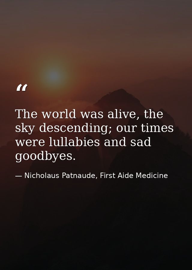 The world was alive, the sky descending; our times were lullabies and sad goodbyes. — Nicholaus Patnaude, First Aide Medicine