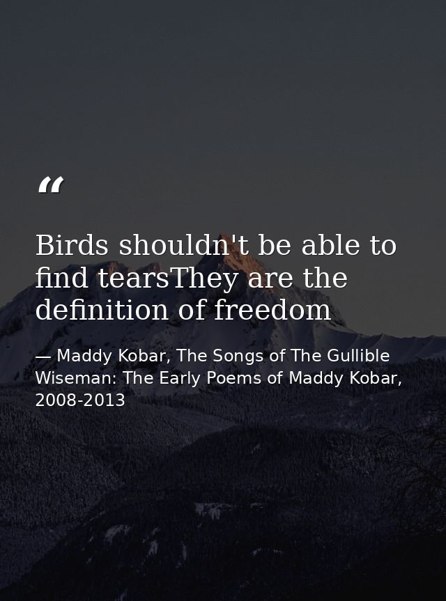Birds shouldn't be able to find tearsThey are the definition of freedom — Maddy Kobar, The Songs of The Gullible Wiseman: The Early Poems of Maddy Kobar, 2008-2013